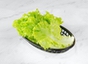 Lettuce