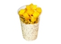 Mango Chia Granola