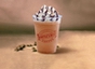Java Chip Javakula