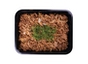 Beef Teppanyaki Feast