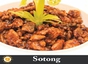 Sotong