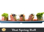 Thai Spring Roll